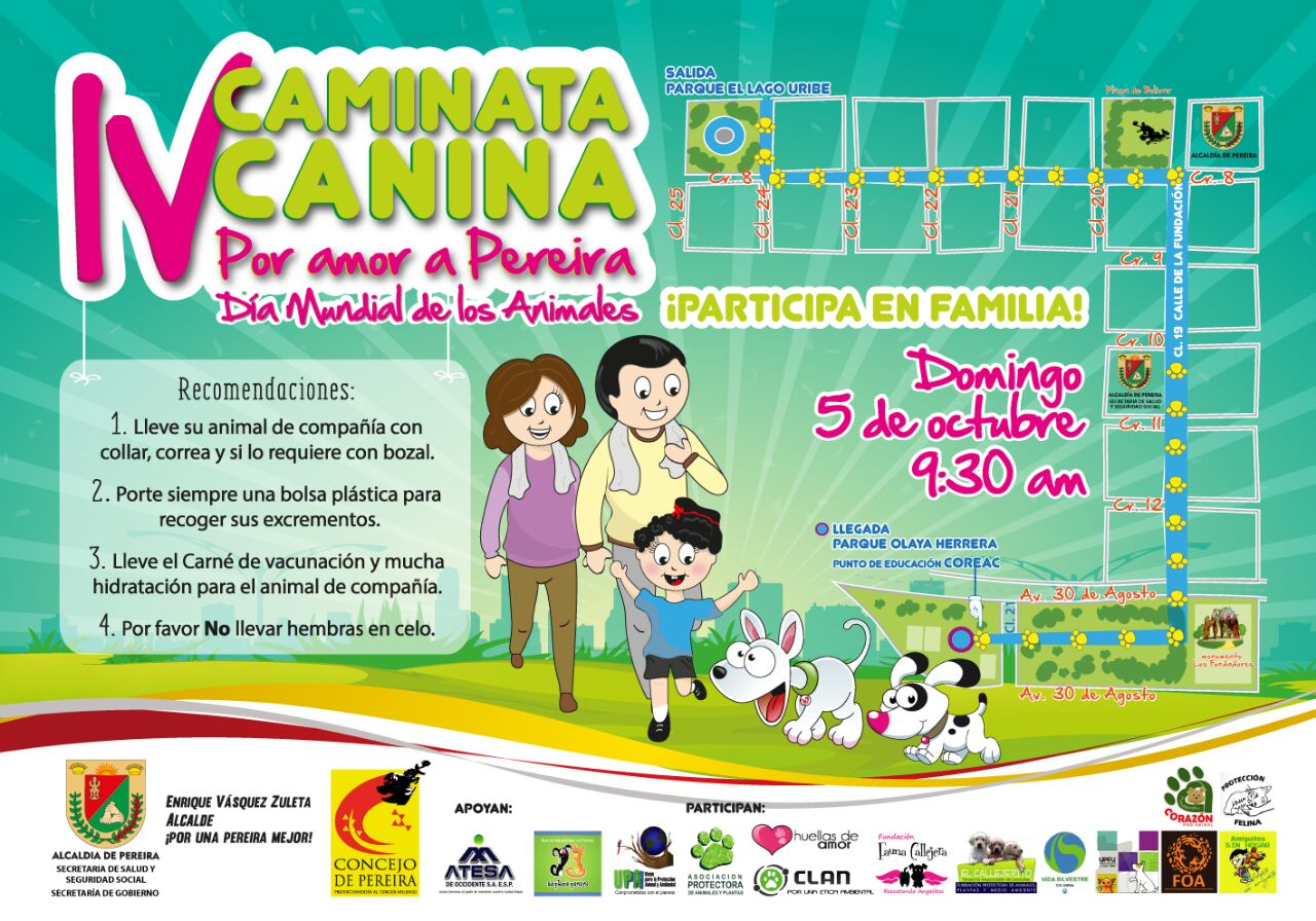 caminata canina